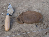 Great Nash Excavation 14